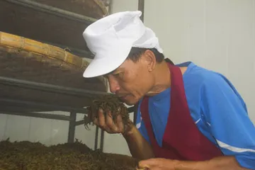 發酵